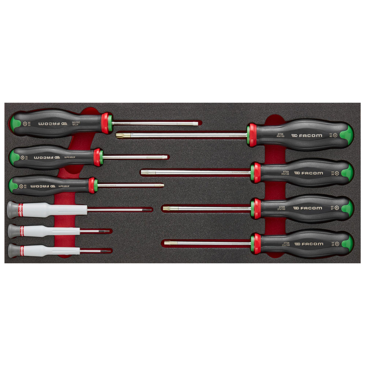 Schaumstoffmodul - 10 PROTWIST® Schraubendreher (Philips®, Pozidriv®)