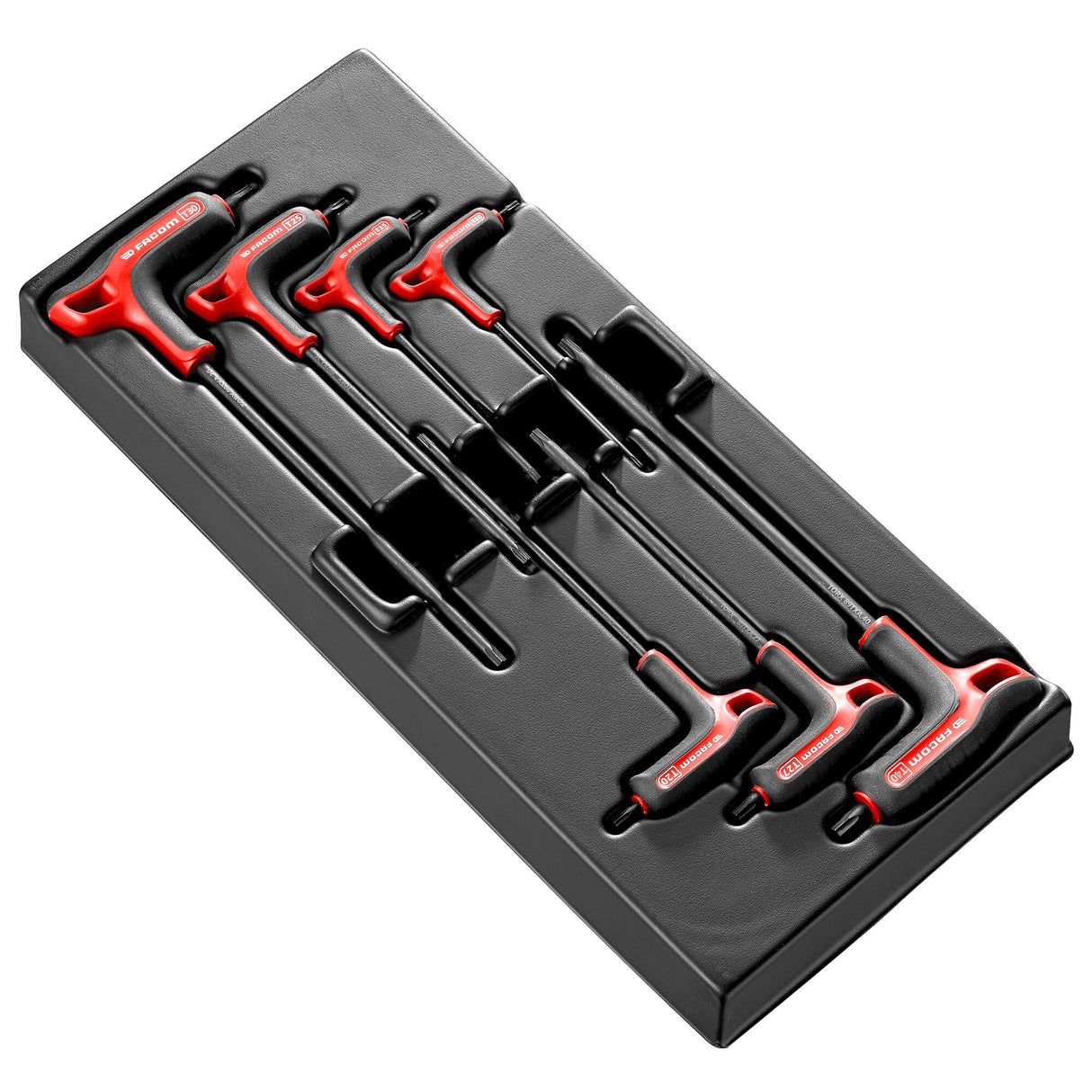 Kunststoffmodul - Stiftschlüssel Torx®, 7-tlg.