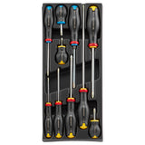 Kunststoffmodul XL -  10 PROTWIST® Schraubendreher, Phillips® u. Pozidriv®, SB-Verpackung