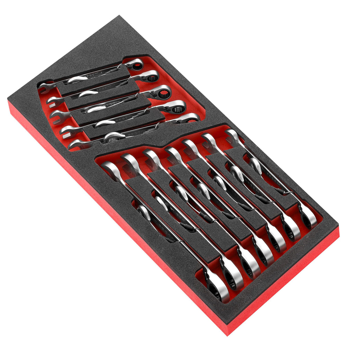 Schaumstoffmodul mit 12 Knarren-Gabel-Ringschlüsseln von 8 bis 19 mm - SLS