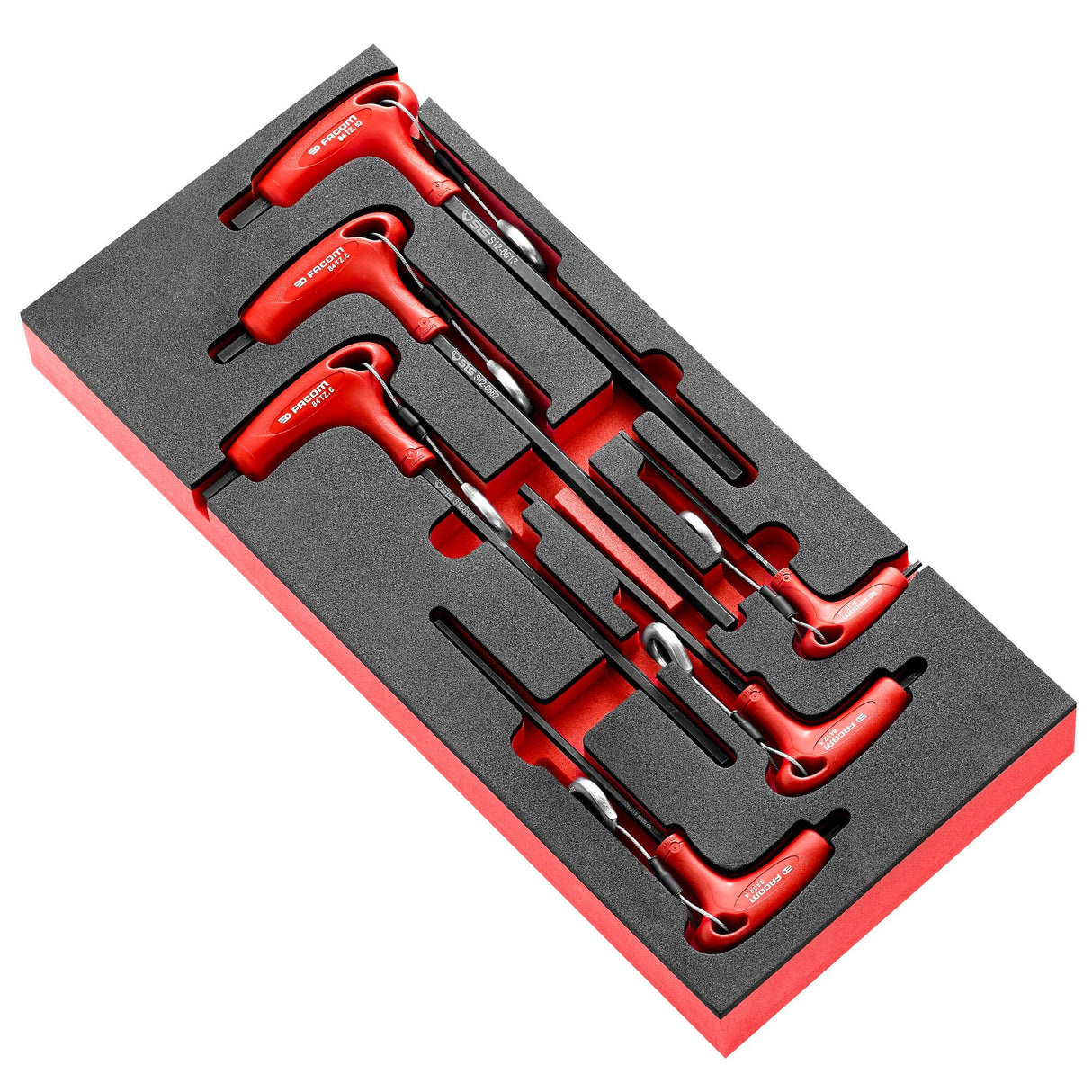 Schaumstoffmodul 6 Sechskant-Stiftschlüssel - SLS