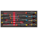 Schaumstoffmodul - 9 PROTWIST® Schraubendreher (Schlitz, 6-kant)