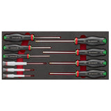 Schaumstoffmodul - 10 PROTWIST® Schraubendreher (Philips®, Pozidriv®), SB-Verpackung