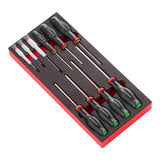 Schaumstoffmodul - 10 PROTWIST® Schraubendreher (Philips®, Pozidriv®)