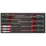 Schaumstoffmodul - 10 PROTWIST® Schraubendreher (Philips®, Pozidriv®)