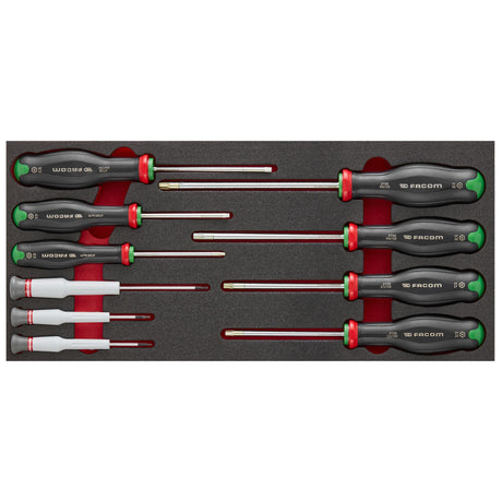 Schaumstoffmodul - 10 PROTWIST® Schraubendreher (Philips®, Pozidriv®)